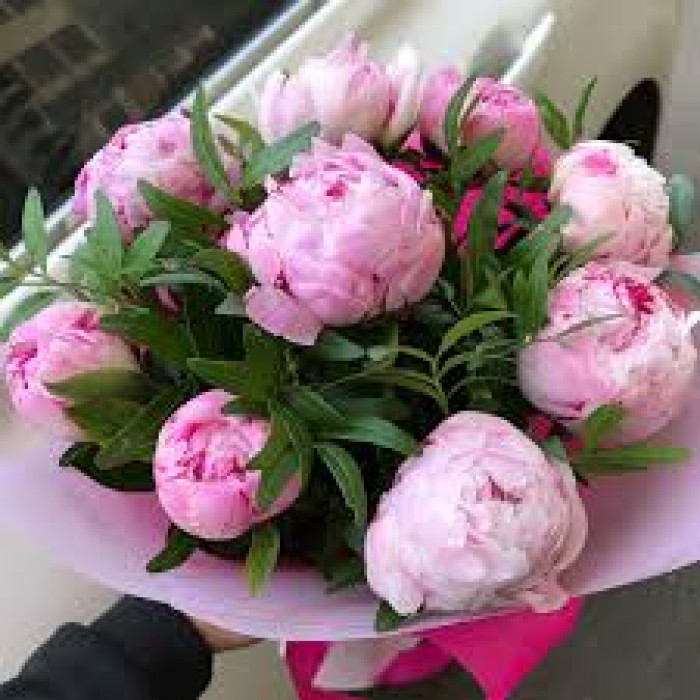 Пион древовидный в Аксу