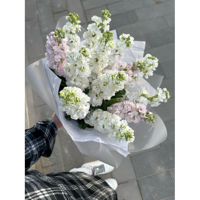 Маттиола в Аксу