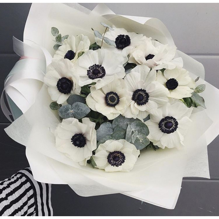 Анемоны в Аксу