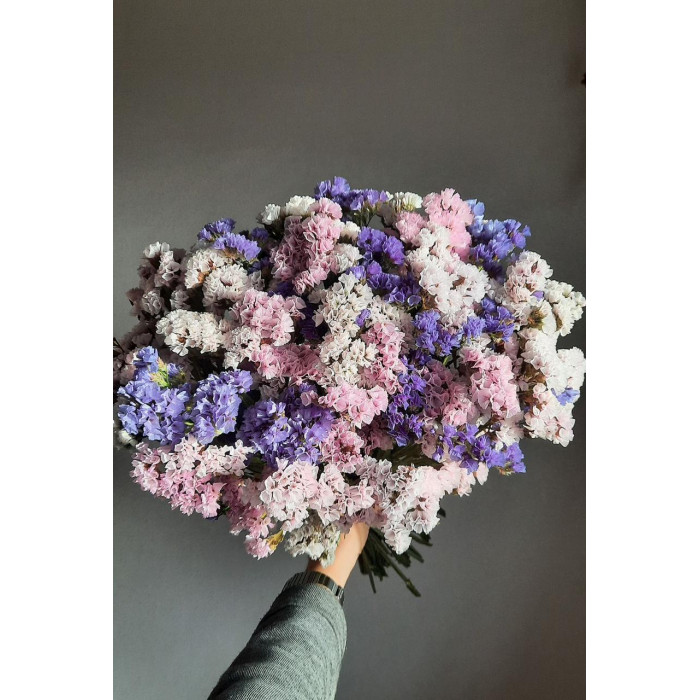 Статица (Лимониум) в Аксу