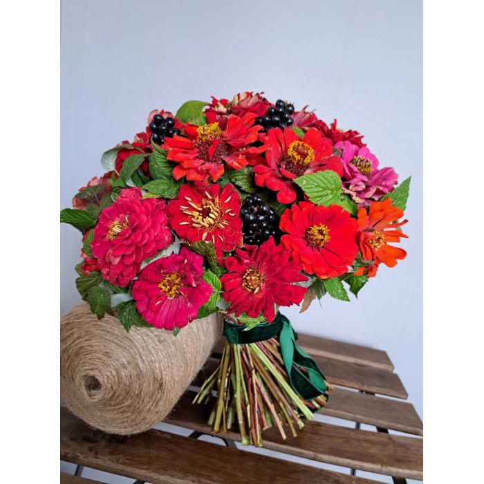 Циния в Аксу