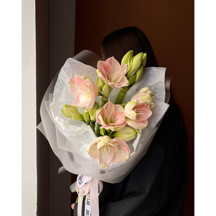 Амариллис в Аксу