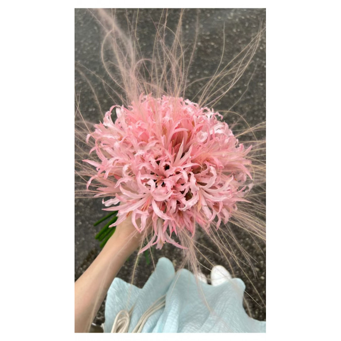 Нерине в Аксу