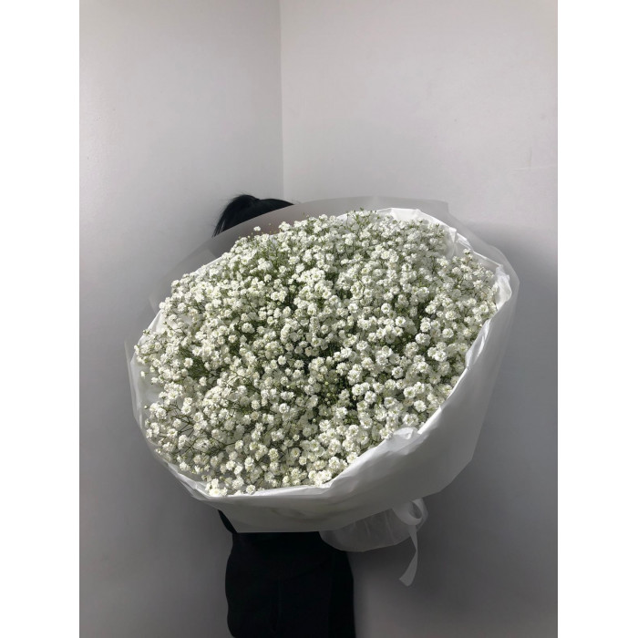 Гипсофила классическая в Аксу