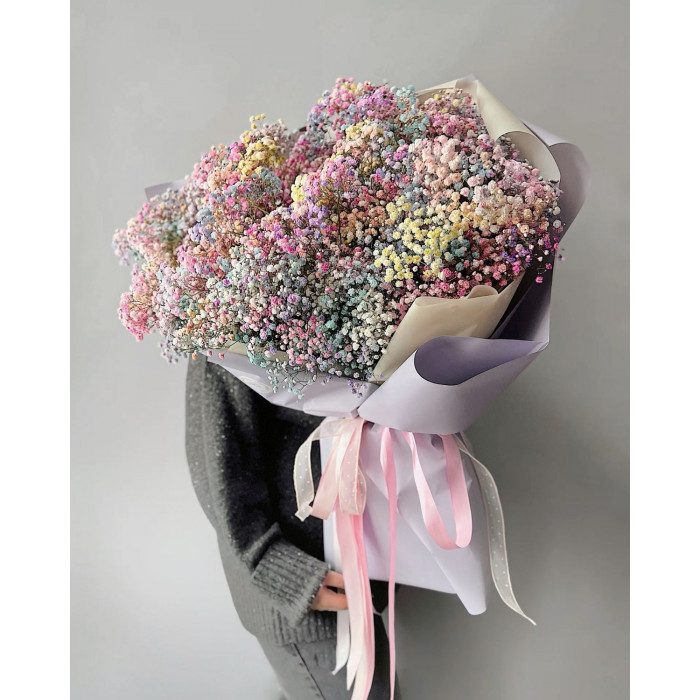 Гипсофила цветная в Аксу