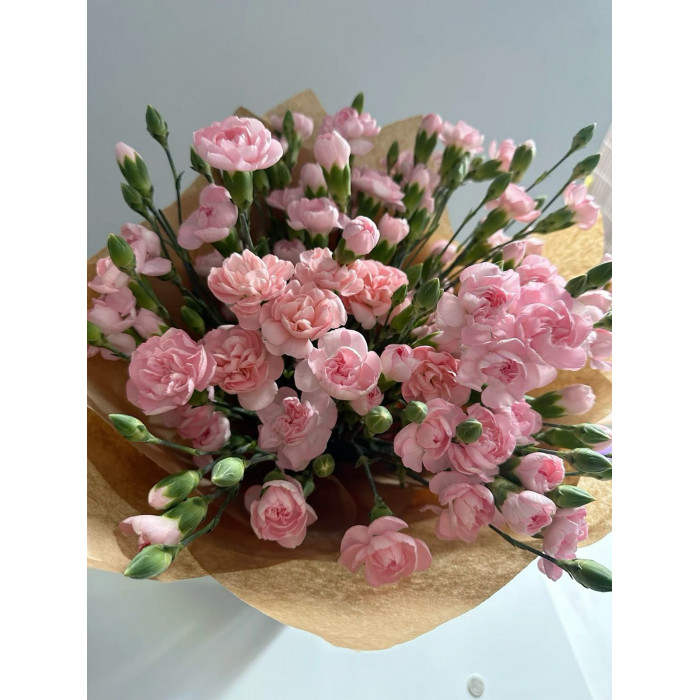 Кустовые гвоздики в Аксу