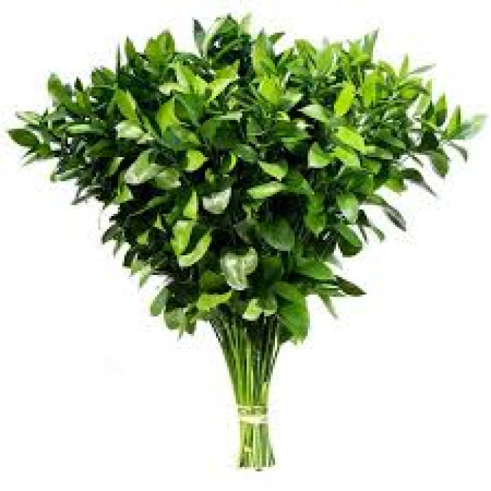 Рускус в Аксу