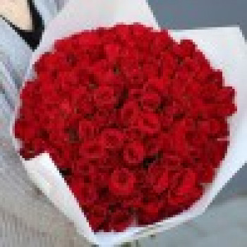 Bouquet of 75 red roses