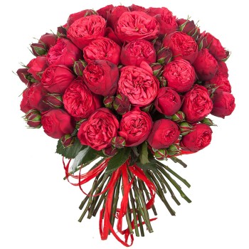 Bouquet of 51 peony roses